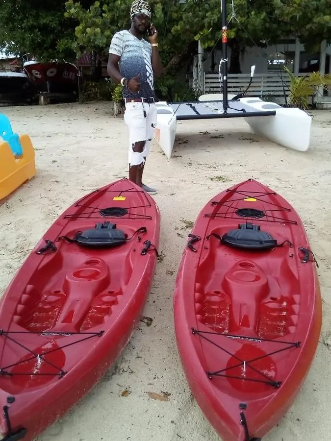 Seacret Studios - Cozy Jamaican Retreat Apts نيغريل