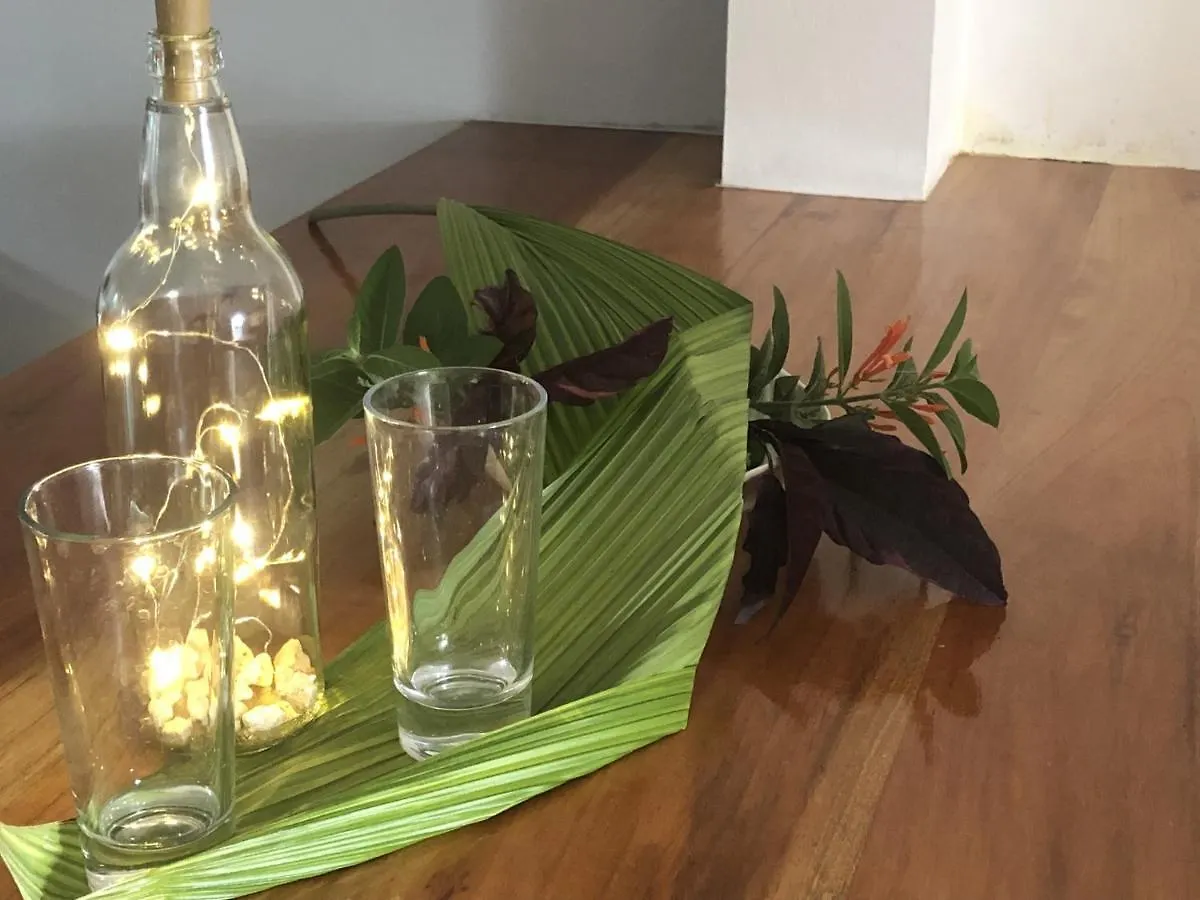 Seacret Studios - Cozy Jamaican Retreat Apts نيغريل 0*,  جامايكا