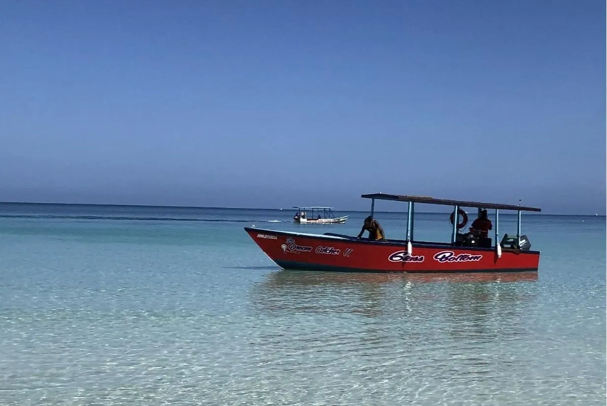 Seacret Studios - Cozy Jamaican Retreat Apts نيغريل