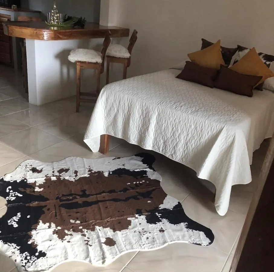 شقة Seacret Studios - Cozy Jamaican Retreat Apts نيغريل